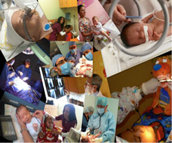 Collage de fotos de bebés y pediatras